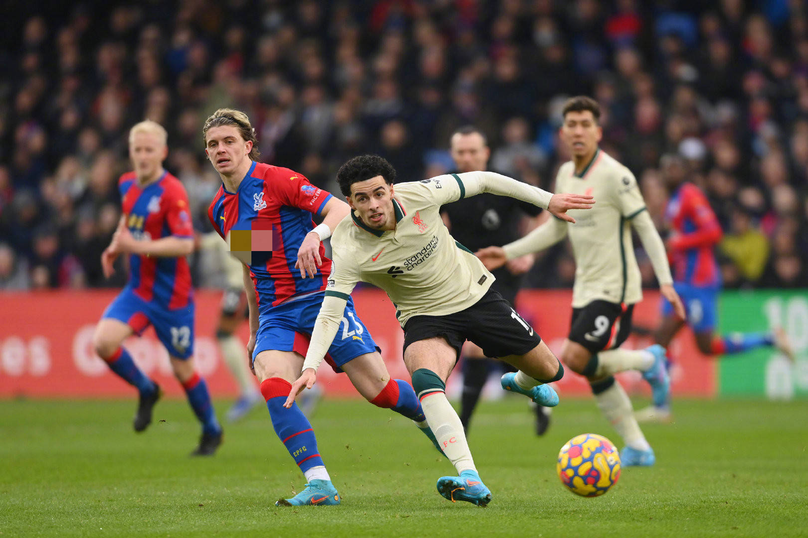 在亚冠及国 在亚冠及国